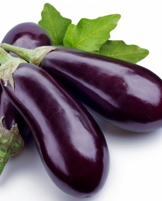 بادنجان(Eggplant)