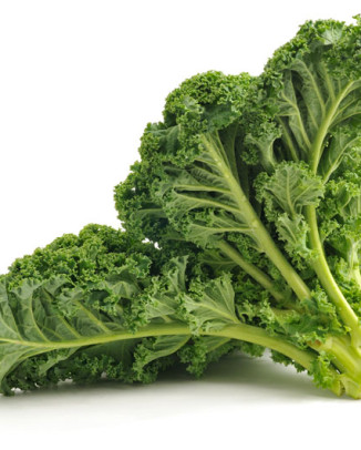 معجزه ای به نام گیاهان سبز