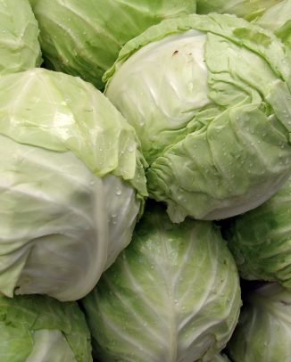 خواص دارویی کلم